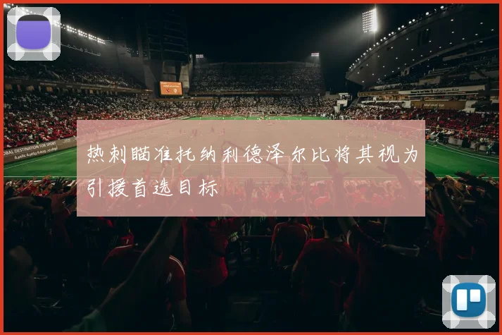 热刺瞄准托纳利德泽尔比将其视为引援首选目标
